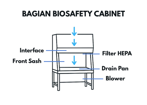 Bagian-Bagian Biosafety Cabinet
