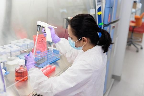Cara Menggunakan Biosafety Cabinet